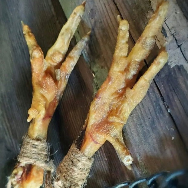 Chicken Foot Talisman | Hoodoo Protection “Scratching One’s Enemies”